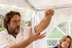 Rome: Combo Pizza en Pasta Kookles met Wijn