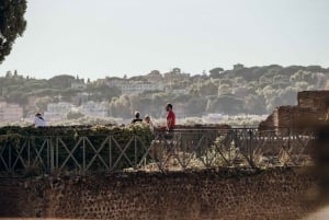 Rom: Komplett Colosseum-tur med olika sevärdheter att välja mellan