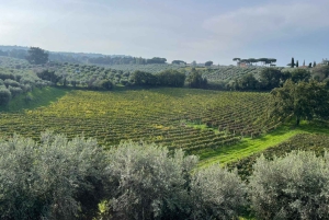 Rome Countryside: Wine Tasting Tour with Private Driver