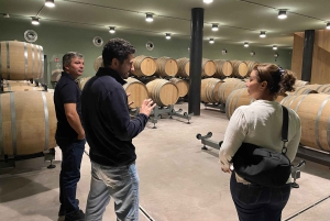 Rome Countryside: Wine Tasting Tour with Private Driver