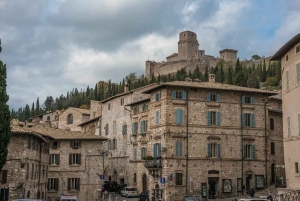 Vanuit Rome: dagtour naar Assisi