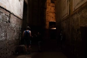 Rome: Domus Aurea Guided Group Tour