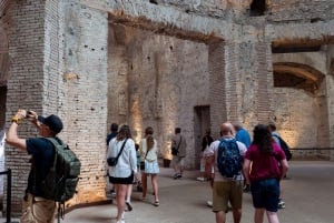 Rome: Domus Aurea Guided Group Tour