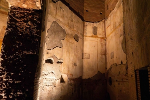 Rooma: Domus Aurea Opastettu ryhmäkierros