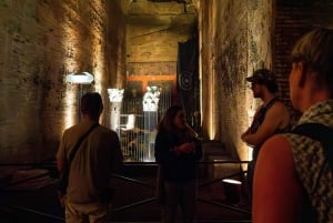 Rooma: Domus Aurea Opastettu ryhmäkierros