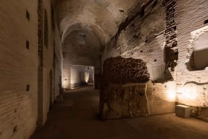 Rome: Domus Aurea, Nero's Golden House guide tour