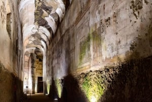 Rome: Domus Aurea, Nero's Golden House guide tour