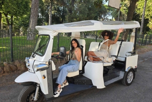 Rome: Tour of the Rome City Center With Tuk Tuk