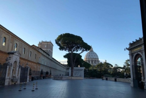 Rome: Early-Morning Small-Group Vatican Museums Tour