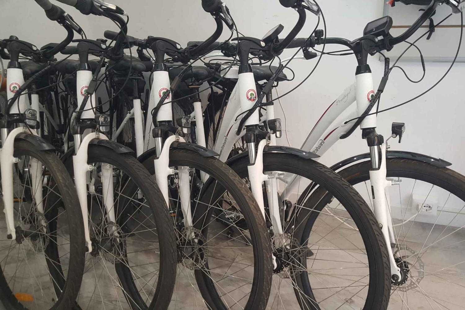 Roma: Elsykkelutleie