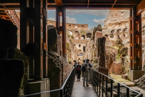 Roma: Eksklusiv guidet tur til Colosseums undergrunn og arena