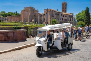 Rome: City Center Private Tuk-Tuk Tour