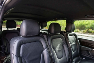 Rooma: Civitavecchian satama 1-suuntainen kuljetus.