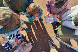 Rome for Kids: Colosseum and Roman Forum Tour