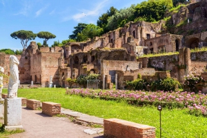 Roma: Entrada Super Pass al Foro Romano con aplicación de audioguía