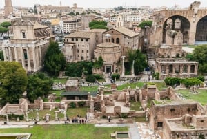 Roma: Tour di un giorno intero del Colosseo, dei Musei Vaticani e di San Pietro