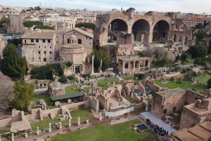 Rome : Visite en petit groupe du Colisée, des arènes et du Forum romain