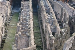 Rome : Visite en petit groupe du Colisée, des arènes et du Forum romain