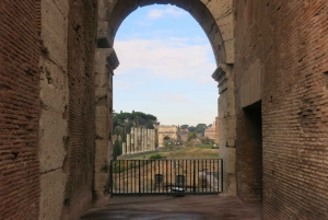 Rome : Visite en petit groupe du Colisée, des arènes et du Forum romain