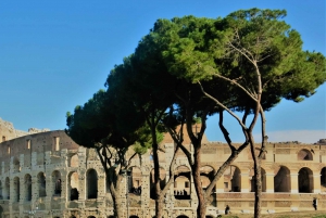 Rome : Visite en petit groupe du Colisée, des arènes et du Forum romain