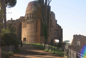 Rome : Visite en petit groupe du Colisée, des arènes et du Forum romain