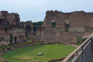 Rome : Visite en petit groupe du Colisée, des arènes et du Forum romain