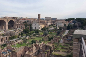 Rome : Visite en petit groupe du Colisée, des arènes et du Forum romain