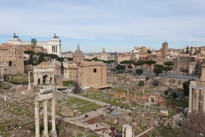 Rome : Visite en petit groupe du Colisée, des arènes et du Forum romain