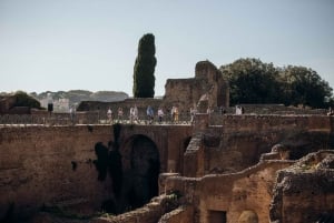 Rome: Gladiator’s Gate and Arena Special Colosseum Access