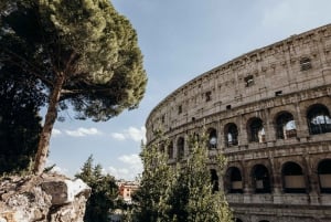 Rome: Gladiator’s Gate and Arena Special Colosseum Access