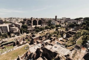 Rome: Gladiator’s Gate and Arena Special Colosseum Access