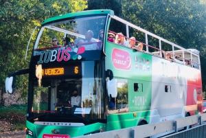 Roma: Ascensor de cristal, museos y billete de autobús turístico Hop-On Hop-Off