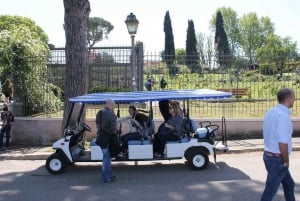 Private Guided City Highlights Tour by Golf Cart