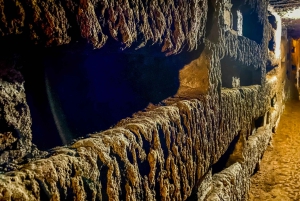 Roma: Tour guidato delle Catacombe Romane con trasferimento