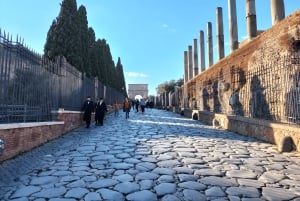 Rome : Visite guidée du Colisée et de la Rome antique