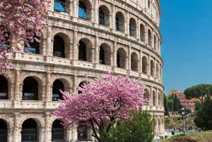 Rome : Visite guidée du Colisée et de la Rome antique