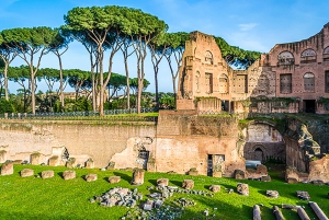 Rom: Geführte Tour durch das Kolosseum, das Forum Romanum und den Palatinhügel