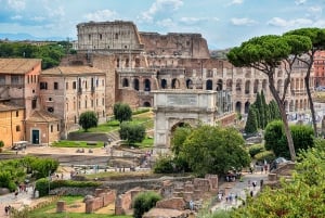 Rome: Guided Tour of Colosseum, Roman Forum & Palatine Hill
