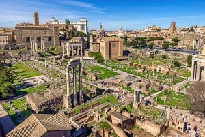 Rome: Guided Tour of Colosseum, Roman Forum & Palatine Hill