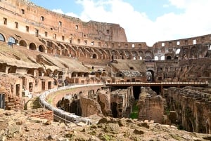 Rome: Guided Tour of Colosseum, Roman Forum & Palatine Hill
