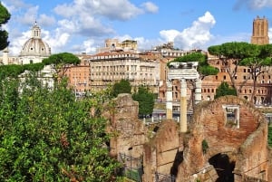 Rome: Guided Tour of Colosseum, Roman Forum & Palatine Hill
