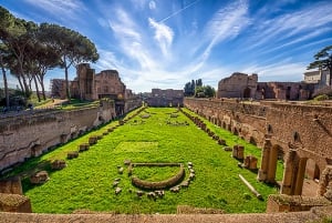 Rome: Guided Tour of Colosseum, Roman Forum & Palatine Hill
