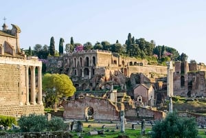 Rome: Guided Tour of Colosseum, Roman Forum & Palatine Hill