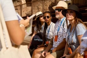 Roma: Tour guiado do Coliseu com Arena e Fórum Romano