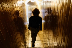 Roma: tour guidato della Basilica di San Pietro con salita alla cupola