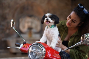 Rome: Guided Vespa Experience with Professional Photoshoot