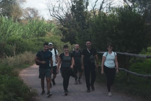 Rome: Hike along the ancient Appian Way