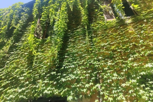 Rome: History, Legends and Food Tour with Tastings