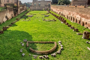 Roma: Tour en autobús turístico y Coliseo, Roma Antigua