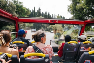 Rome: Hop-on Hop-off Bus Tour and Colosseum Experience